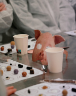 Lakritsprovning - 23 april kl 17:00